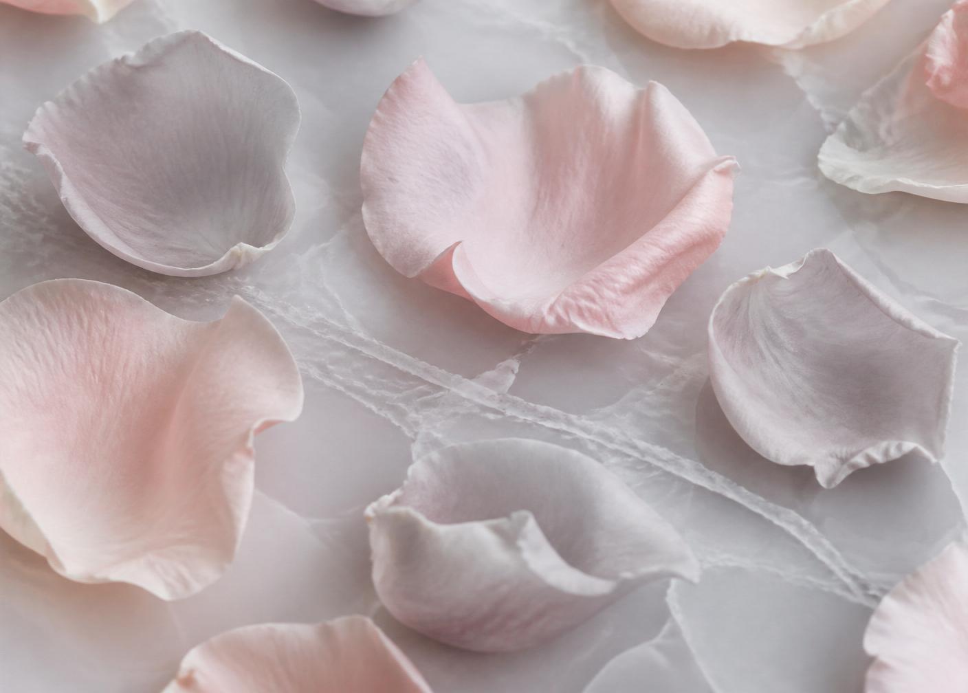 Pale rose petals on marble